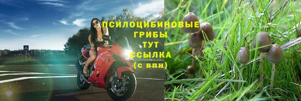 синтетический гашиш Балахна