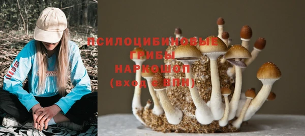 мет Баксан