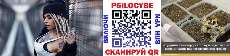 что такое   Тырныауз  Псилоцибиновые грибы MAGIC MUSHROOMS 